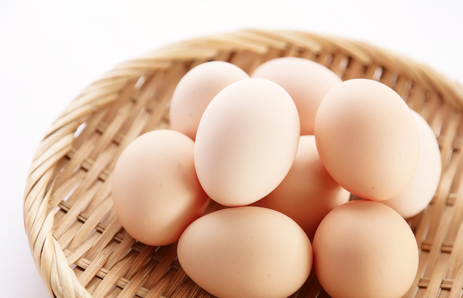 卵のイメージ写真